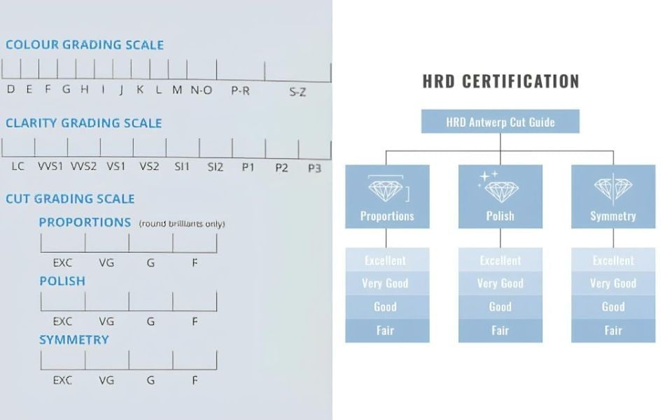 Chứng chỉ HRD