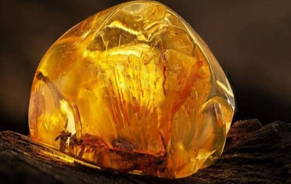 Phân loại màu hổ phách