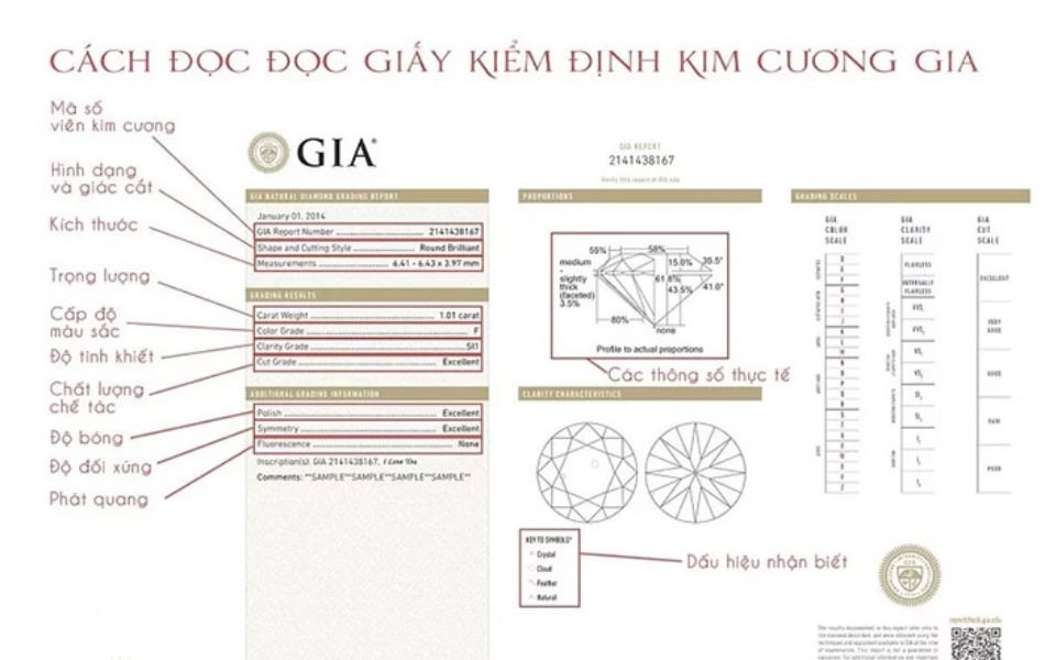Hướng dẫn cách đọc giấy kiểm định
