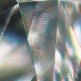 Lizard Skin