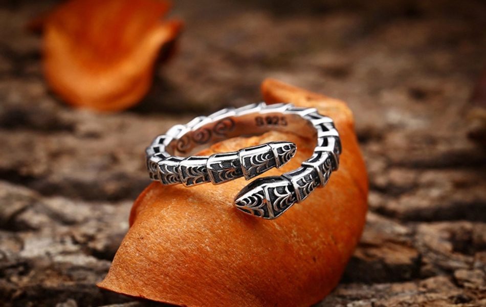 Nhẫn rắn đại diện cho sự đổi mới, bảo hộ và khả năng thích nghi