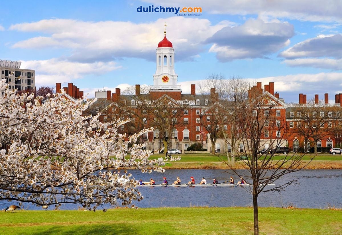 Đại học Harvard