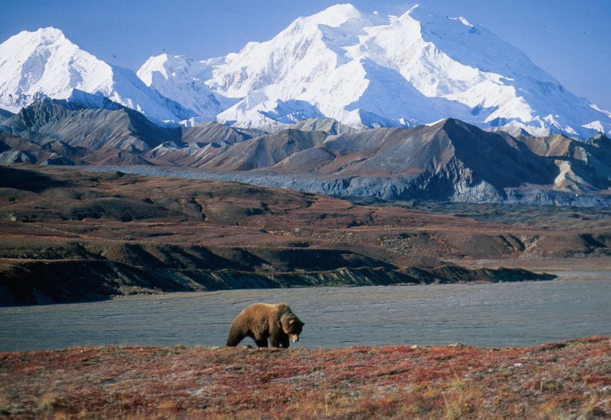 Denali