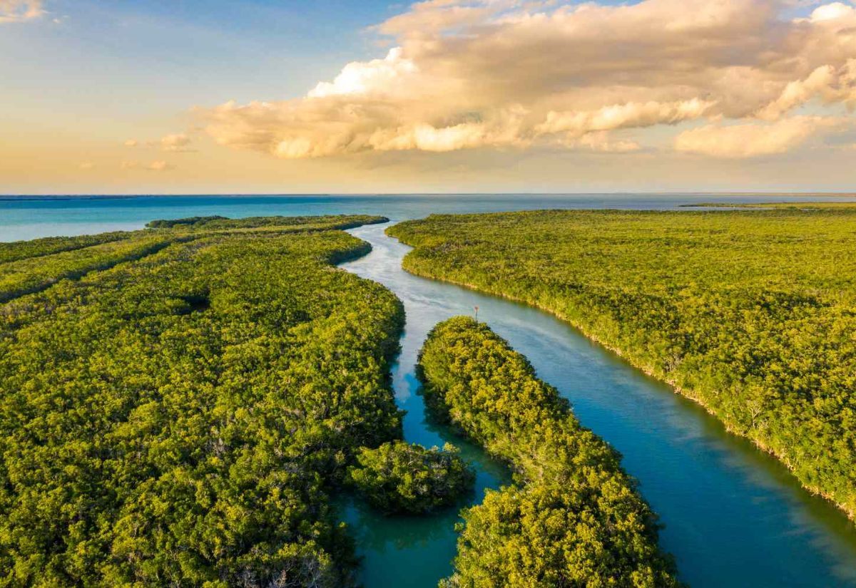 Everglades