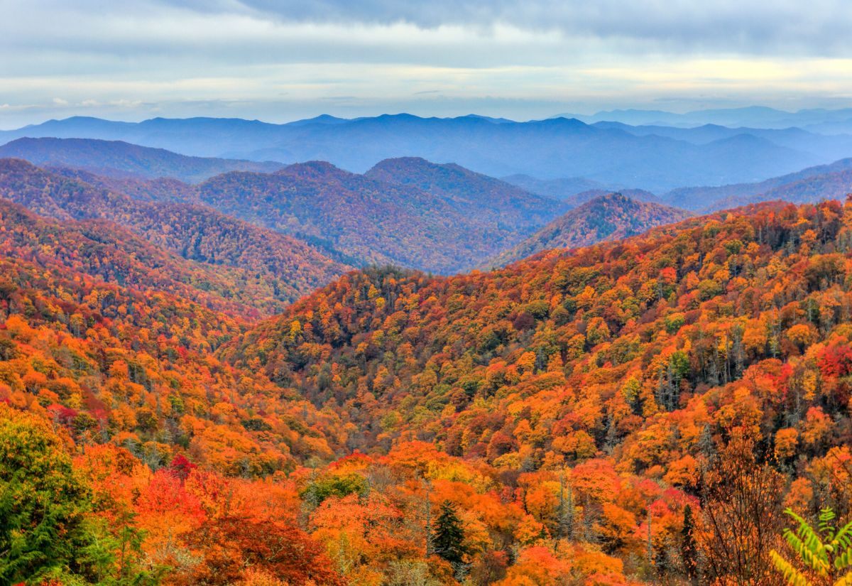 Great Smoky Mountains