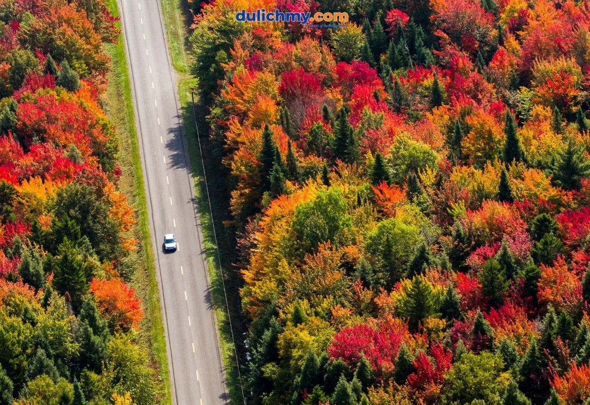 Thời điểm lý tưởng