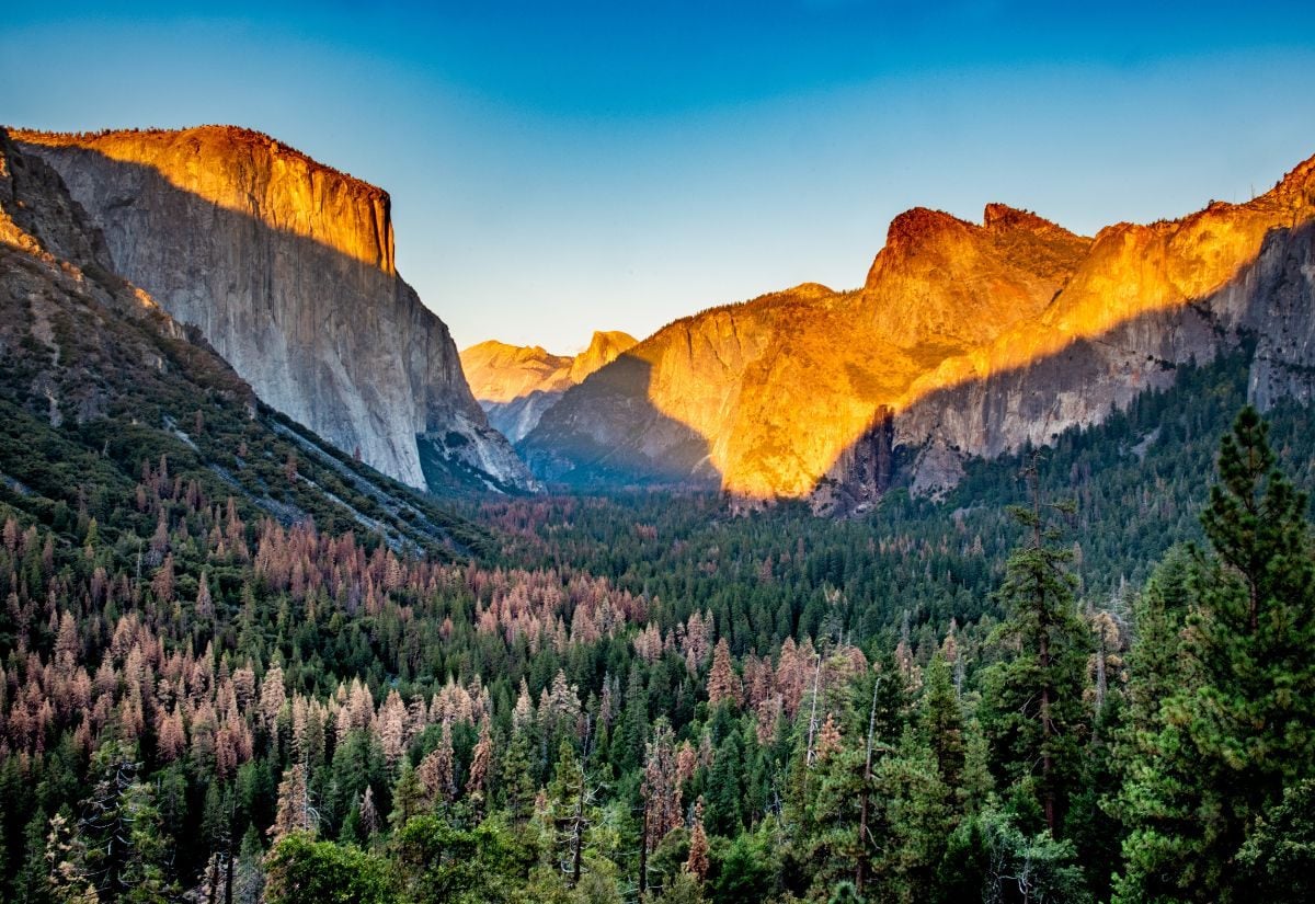 Yosemite National Park