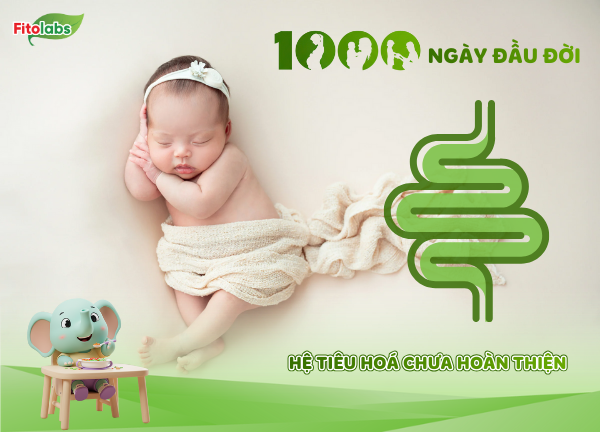 hệ tiêu hoá chưa hoàn thiện trong 1000 ngày đầu đời