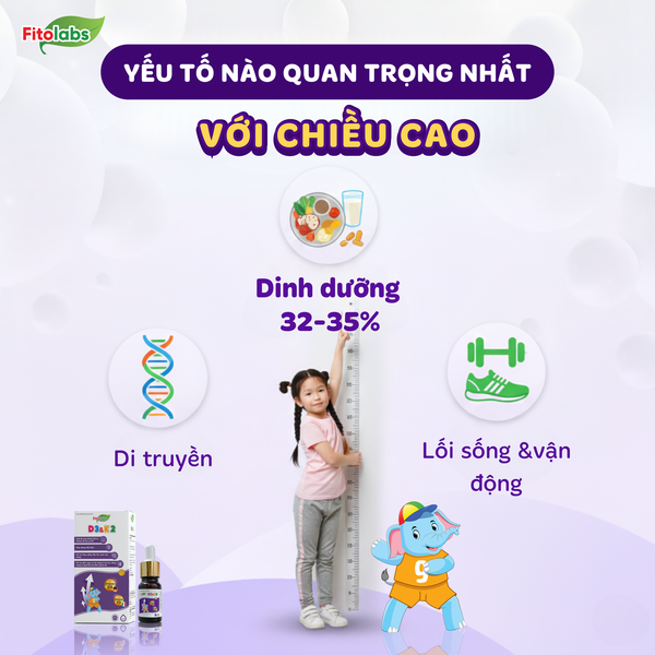 yếu tố quan trọng nhất với chiều cao
