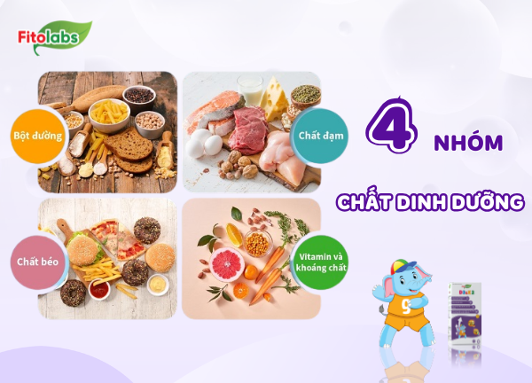 4 nhóm chất dinh dưỡng