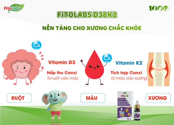 fitolabs d3&K2 - nền tảng cho xương chắc khoẻ