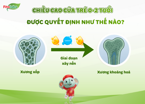 chiều cao của trẻ 0-2 tuổi được quyết định như thế nào?
