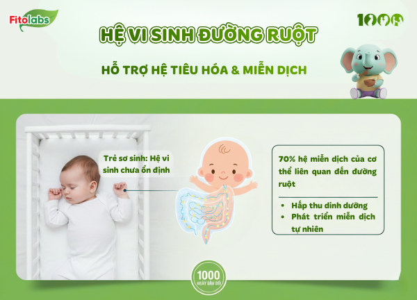 hệ vi sinh đường ruột ở trẻ sơ sinh