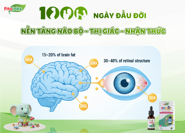 vai trò của DHA trong 1000 ngày đầu đời