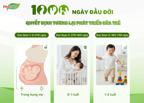 1000 ngày đầu đời là gì