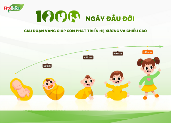 hệ xương và chiều cao phát triển mạnh trong 1000 ngày đầu đời