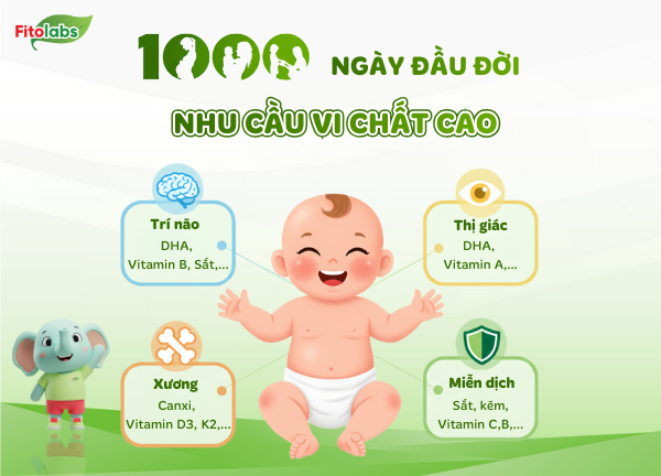 nhu cầu vi chất cao trong 1000 ngày đầu đời