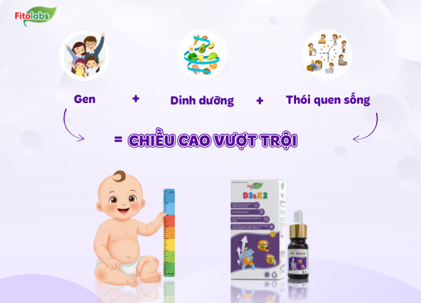 gen quyết định bao nhiều % chiều cao