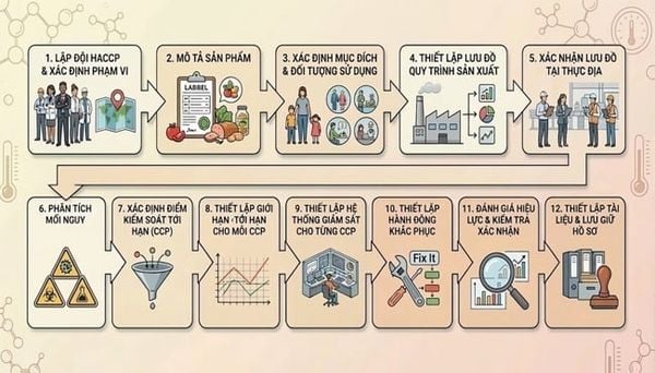 Quy trình 12 bước xây dựng HACCP