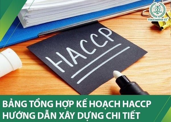 Bảng tổng hợp kế hoạch HACCP là tài liệu tổng hợp các nội dung trọng tâm của kế hoạch HACCP