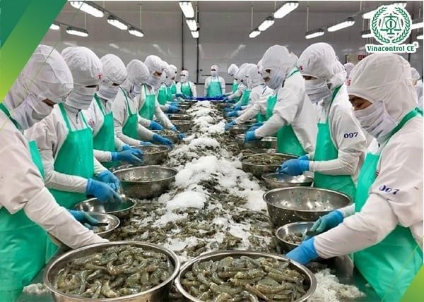 Doanh nghiệp xuất khẩu thực phẩm áp dụng quy trình HACCP để nâng cao năng lực cạnh tranh