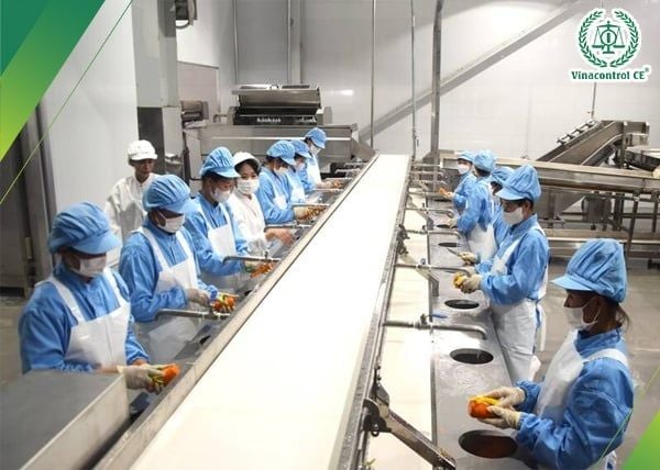 Cơ sở chế biến cần kiểm tra tính phù hơp của lưu đồ với thực tế hoạt động