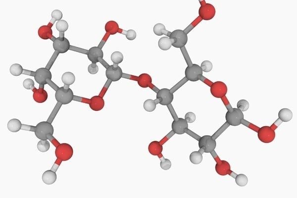 cấu trúc tinh thể của đường lactose