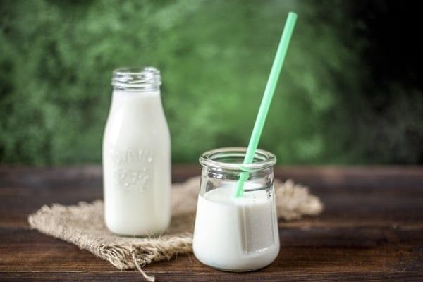 đường lactose trong sữa