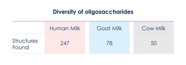 Oligosaccharides trong sữa mẹ, sữa dê và sữa bò