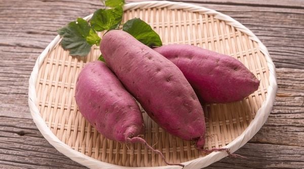 cháo, khoai lang, bí đỏ thực phẩm cung cấp tinh bột cho bé 7 tháng tuổi