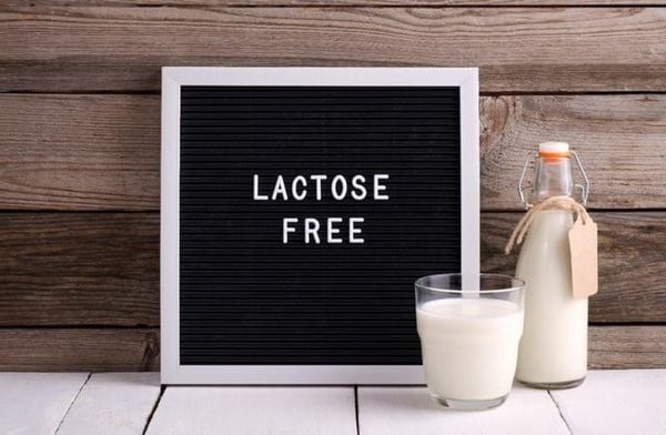 lactose free
