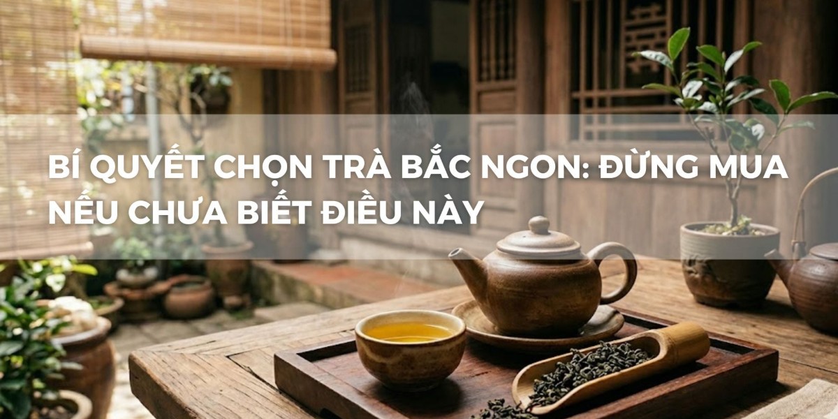 BÍ QUYẾT CHỌN TRÀ BẮC NGON: ĐỪNG MUA NẾU CHƯA BIẾT ĐIỀU NÀY