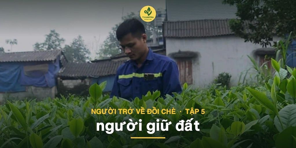 Người trở về đồi chè (Tập 5): người giữ đất