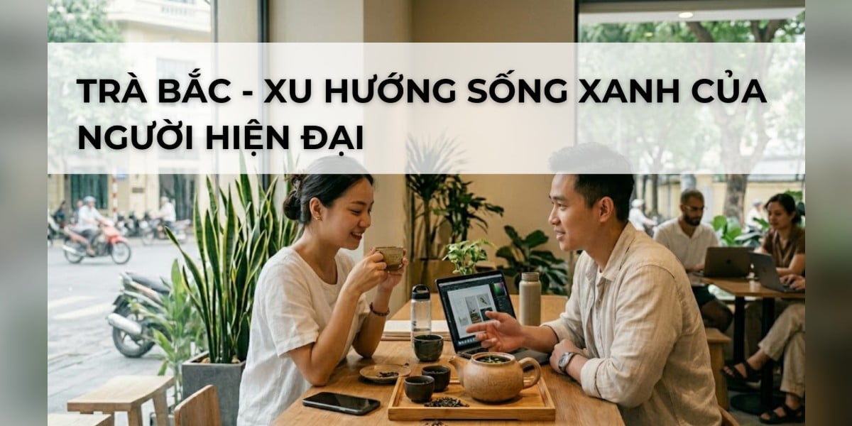TRÀ BẮC - XU HƯỚNG SỐNG XANH CỦA NGƯỜI HIỆN ĐẠI