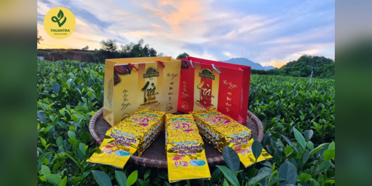 Uống Trà Xanh Mỗi Ngày: Điều Gì Sẽ Xảy Ra Với Cơ Thể Bạn?