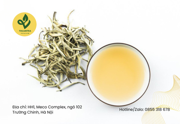 Giá Bạch Trà