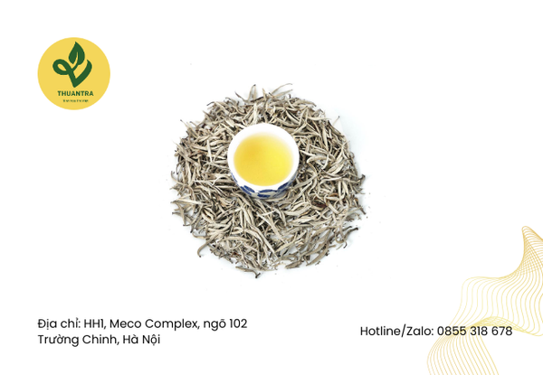 quy trình làm bạch trà