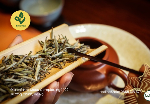 Giá Bạch Trà