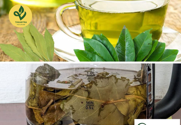 lưu ý khi sử dụng lá vối