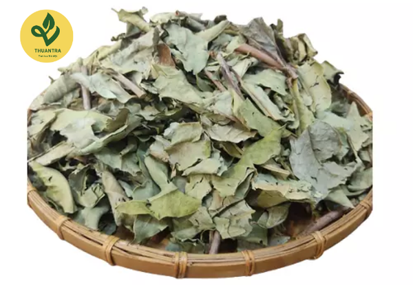 cách pha nước lá vối
