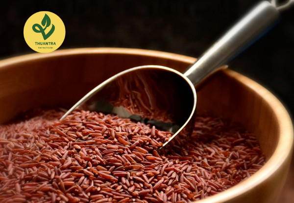 Trà Gạo Lứt Là Gì? Nguồn Gốc, Ý Nghĩa và Văn Hóa