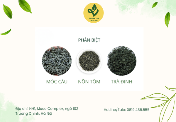 Uống Trà Xanh Đặc Sản