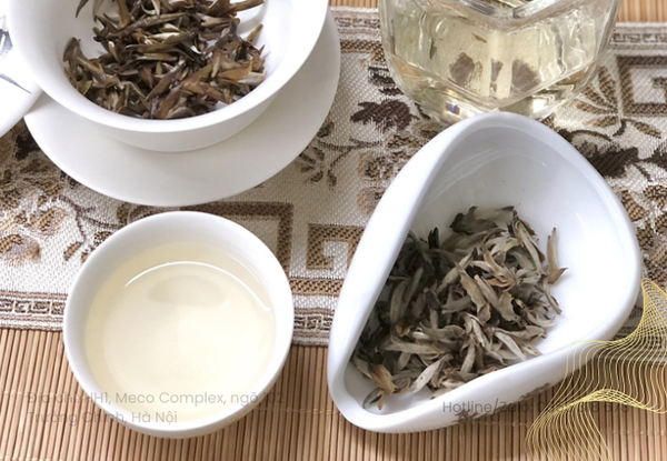 Giá Bạch Trà
