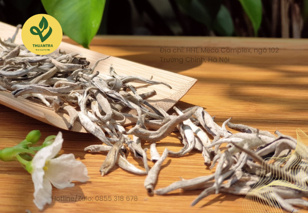 quy trình làm bạch trà