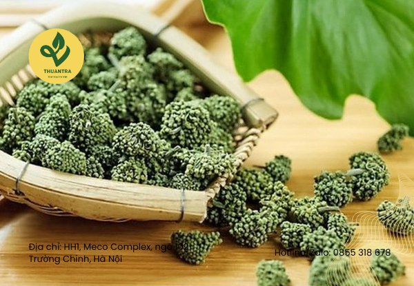 Công thức uống nụ hoa tam thất