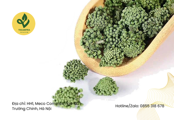 Công thức uống nụ hoa tam thất