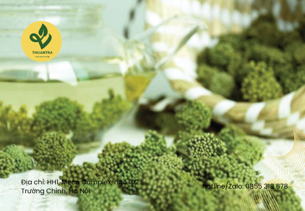 Công thức uống nụ hoa tam thất