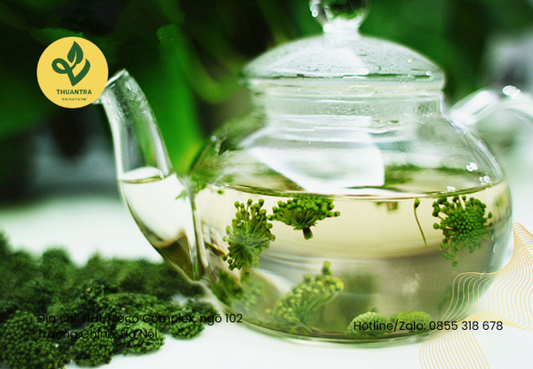 7 công dụng của nụ hoa tam thất