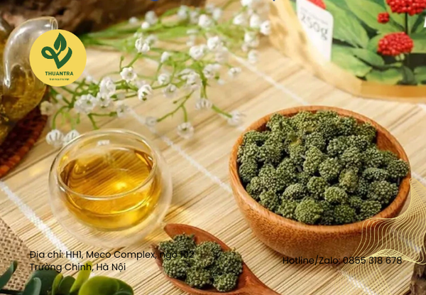 Công thức uống nụ hoa tam thất