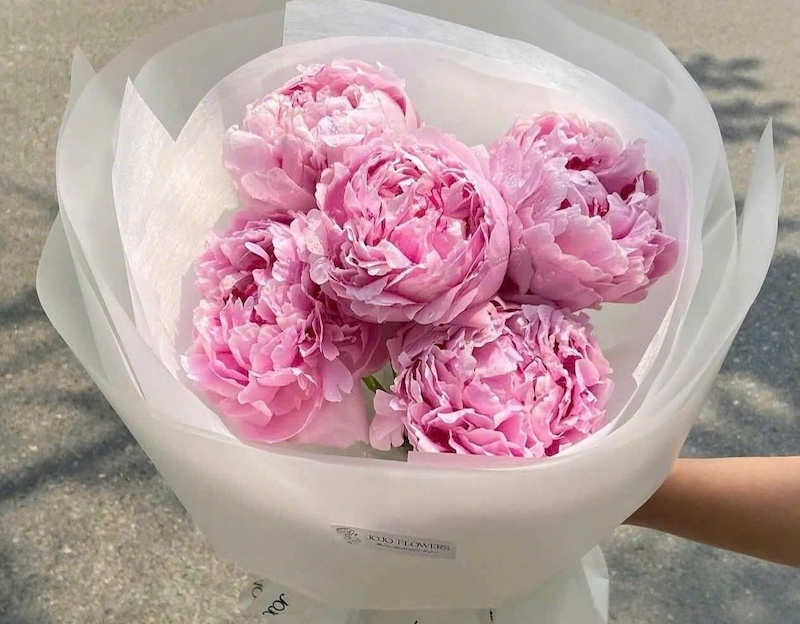 Bó Hoa Mẫu Đơn Hồng - HBT60